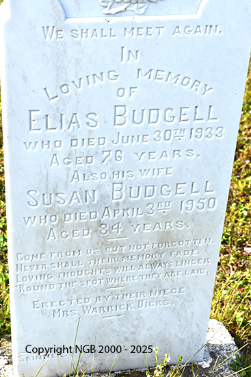 Elias Budgell
