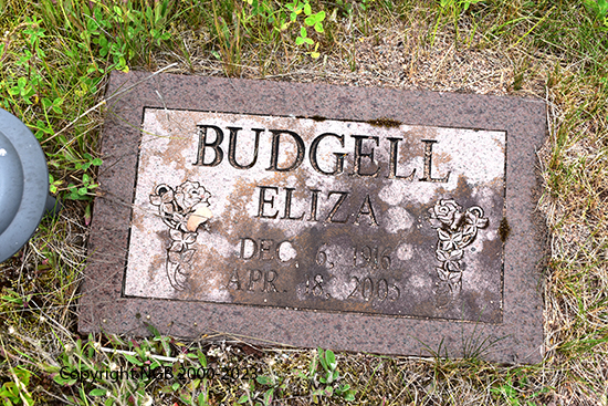 Eliza Budgell