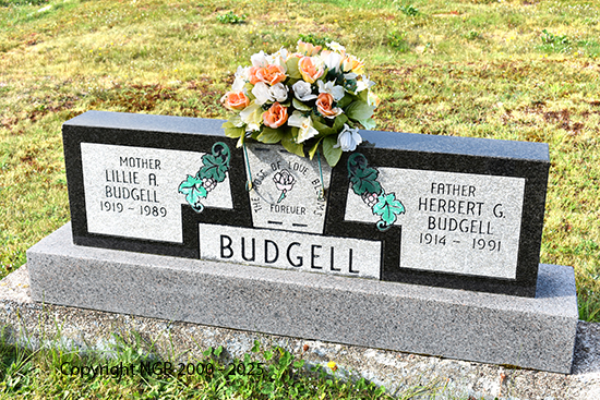 Herbert & Lillie Budgell