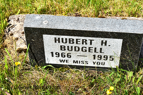 Hubert H. Budgell