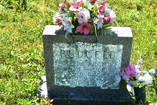 Joseph & Leah Budgell