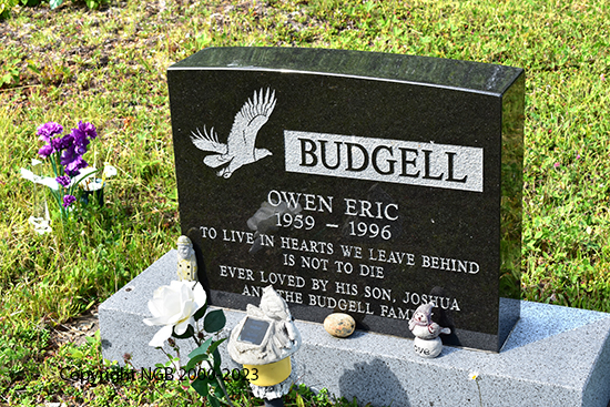 Owen Eric Budgell