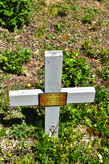 Percy Wilson Budgell