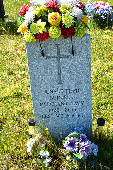 Ronald Fred Budgell