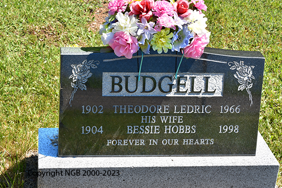 Theodore Ledric & Bessie Hobbs Budgell