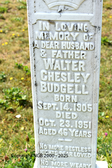 Walter Budgell