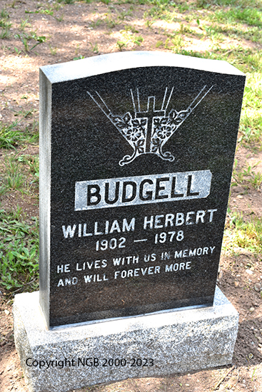 William Herbert Budgell