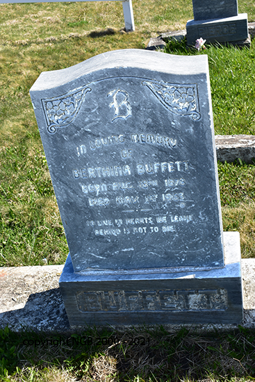 Berthinia Buffett
