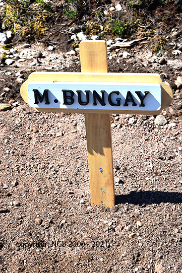 M. Bungay