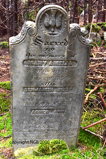 Mary Amelia, Benjamin Robt & Agnes Ann Burfitt