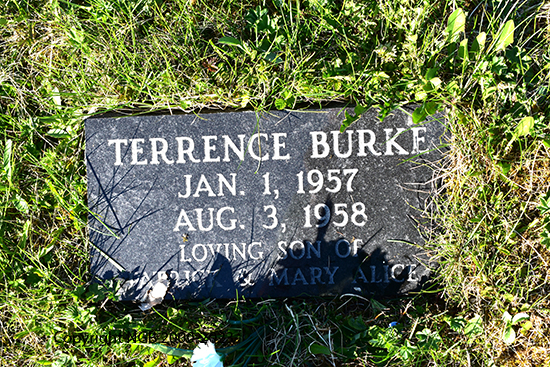 Terrence Burke