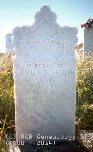 Elizabeth Susannah Bursey