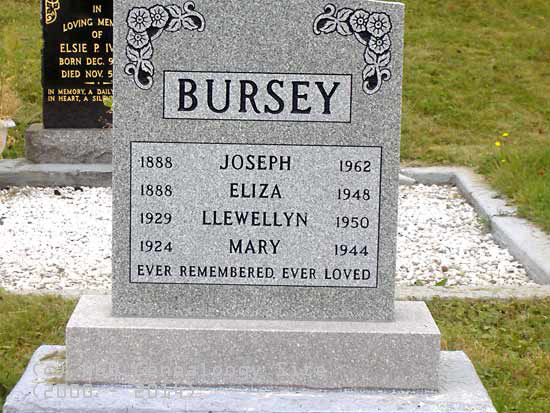 Bursey Family