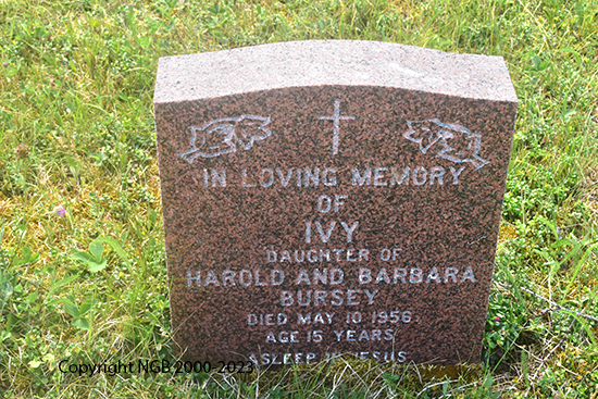 Ivy Bursey