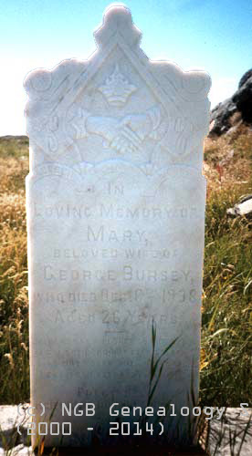 Mary Bursey