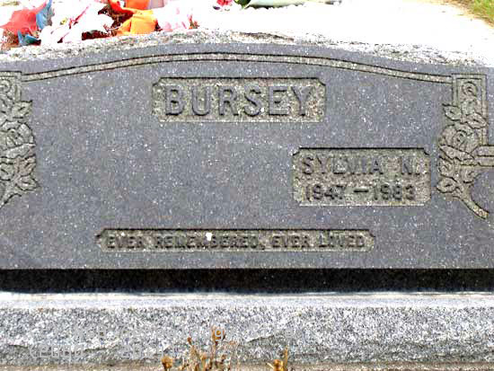 Sylvia Bursey