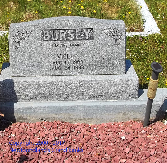 Violet Bursey