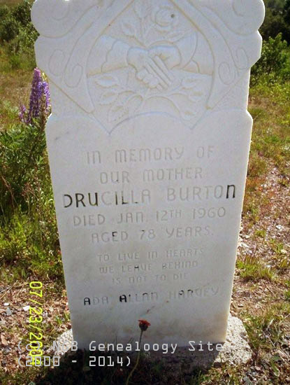 DRUCILLA BURTON