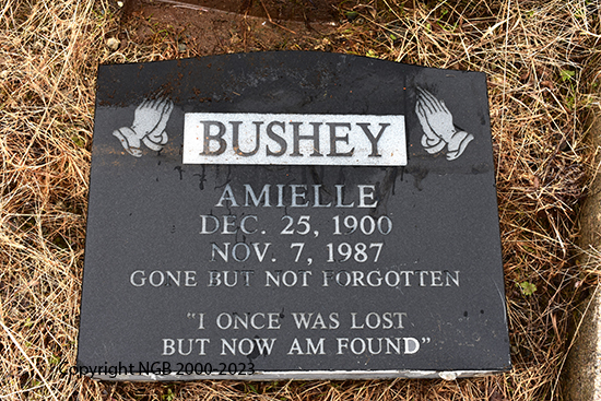 Amielle Bushey