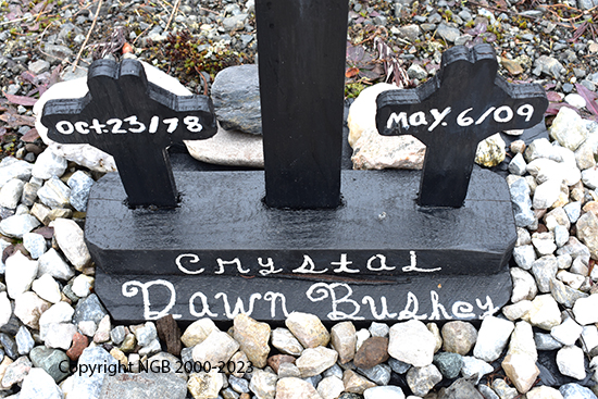 Crystal Dawn Bushey