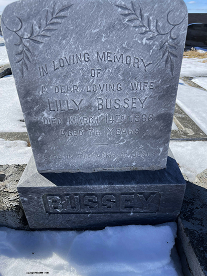 Lilly Bussey