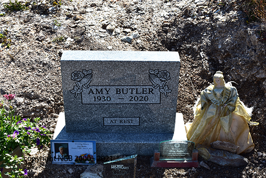 Amy Butler