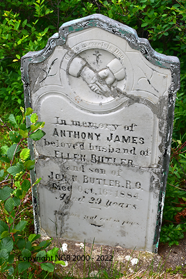 Anthony James Butler