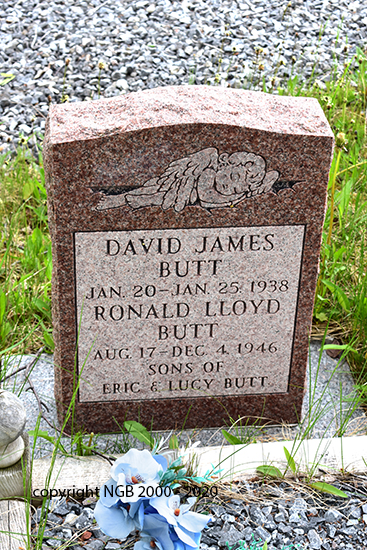 David James & Ronald Lloyd Butt