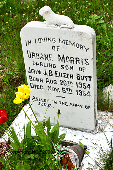 Urbane Morris Butt