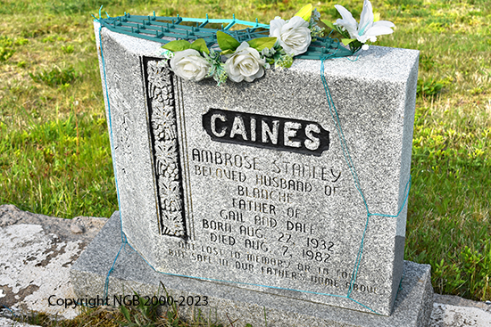 Ambrose Stanley Caines