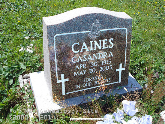 Casandra Catines