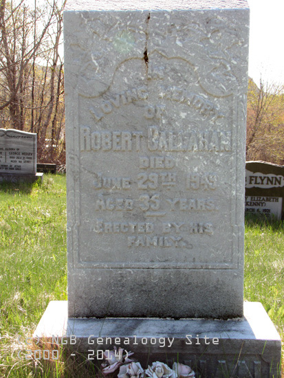 Robert Callahan