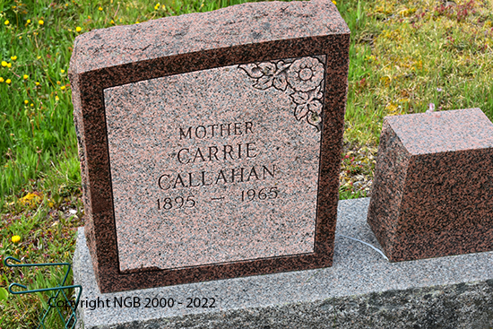Timothy N. & Carrie Callahan
