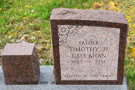 Timothy N. & Carrie Callahan