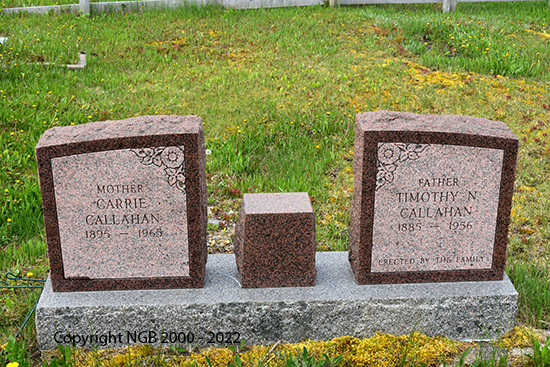 Timothy N. & Carrie Callahan