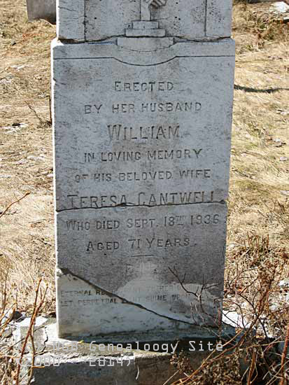  Teresa Cantwell