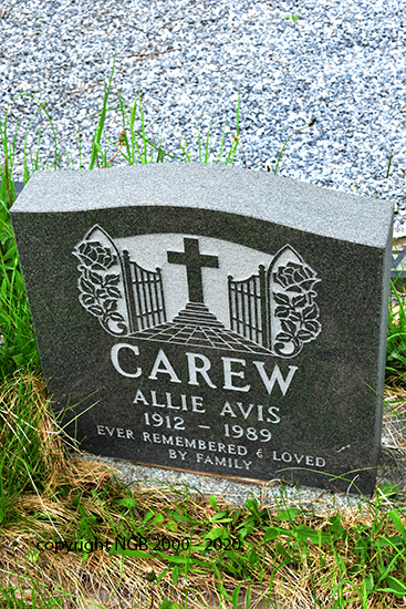 Allie Avis Carew