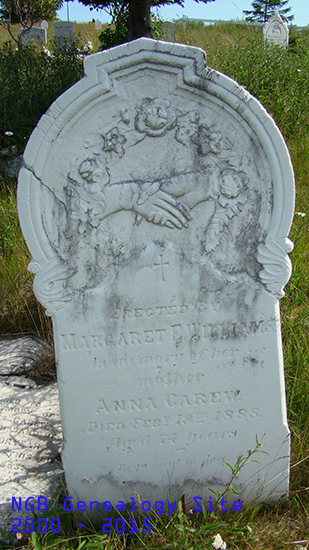 Anna Carew