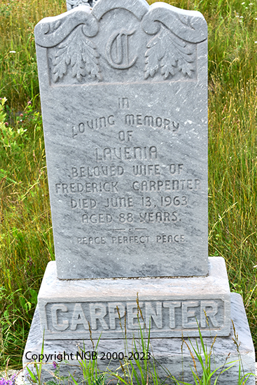 LAVENIA CARPENTER