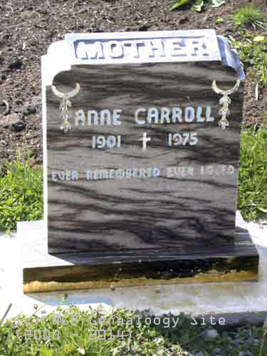 Anne CARROLL