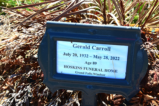 Gerald Carroll