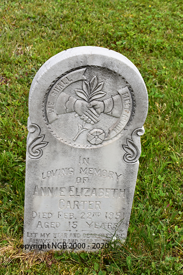 Annie Elizabeth Carter