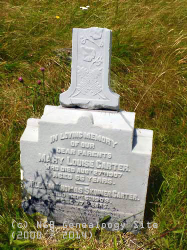Mary Louise & William Thomas Skinner Carter