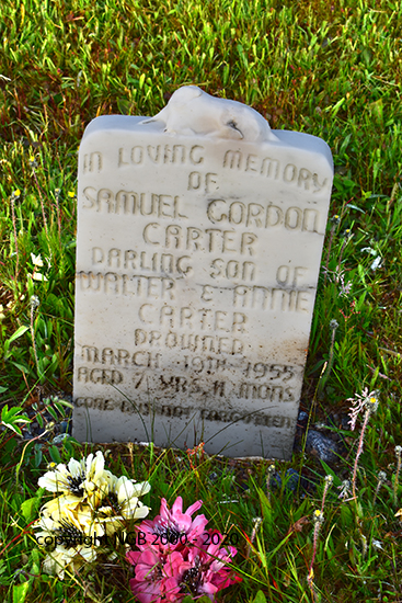 Samuel Gordon Carter