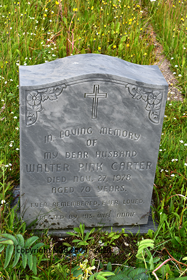 Walter Pink Carter