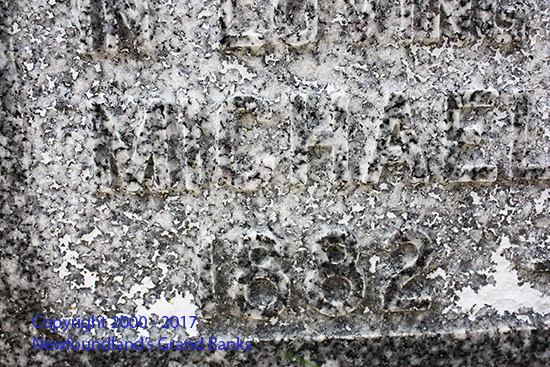 Michael Patrick Casey