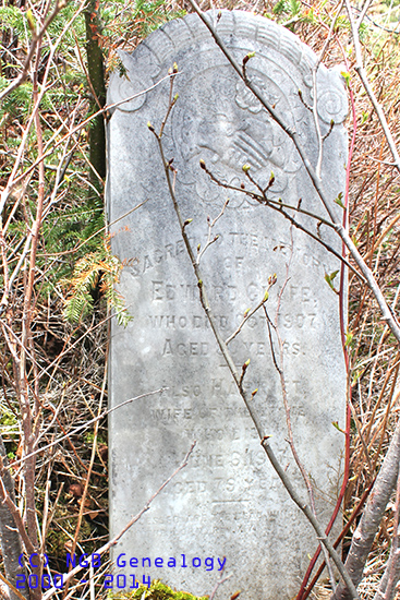 Edward & Harriet Chafe