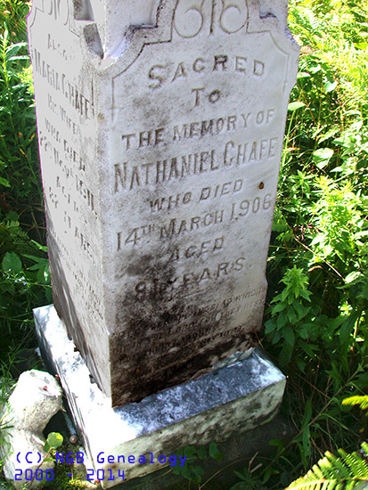 Nathaniel & Maria Chafe