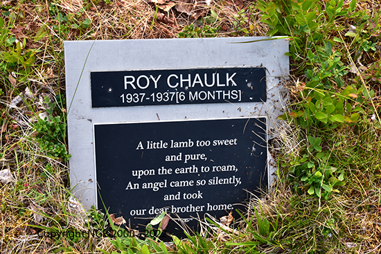 Roy Chaulk