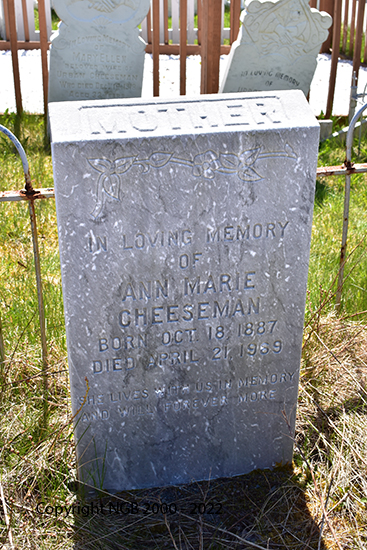 Ann Marie Cheeseman